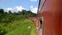 Железная дорога (Поезда) Шри-Ланки